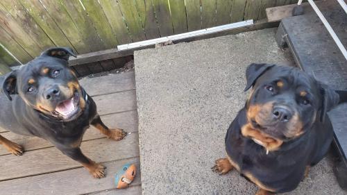 FB_IMG_1600872125918