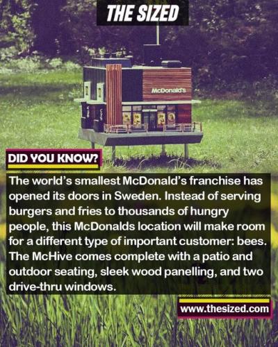 297471193_590910819141906_596697847688177209_n