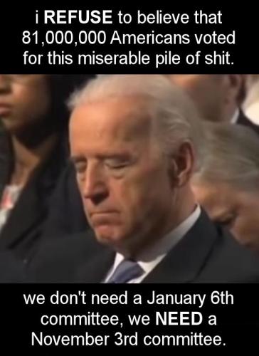 voterfraud338