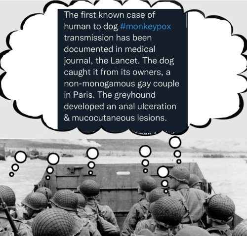 img - 2022-08-16T155717.642