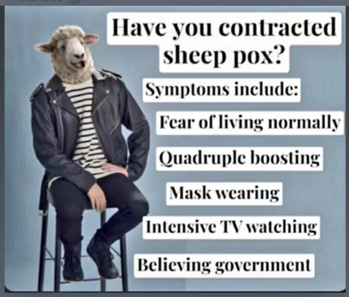 Screenshot_20220803-154635~2