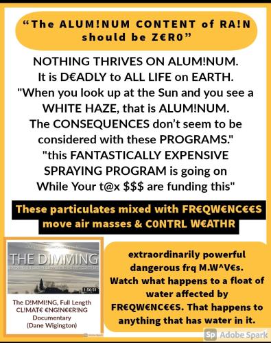 Screenshot_2022-08-09-10-43-29-247_com.google.android.apps.photos~2