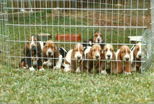 FB_IMG_1614367653329