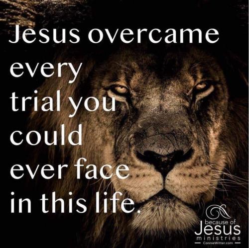 FB_IMG_1640829718742