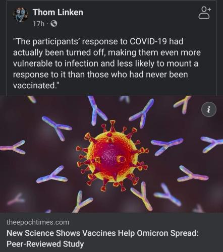 FB_IMG_1659836529287