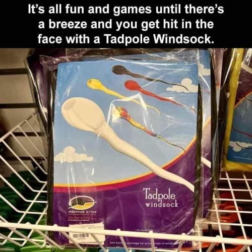FB_IMG_1660580068421