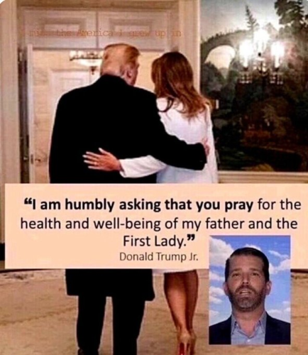 0ee433efefcfca31 (1)