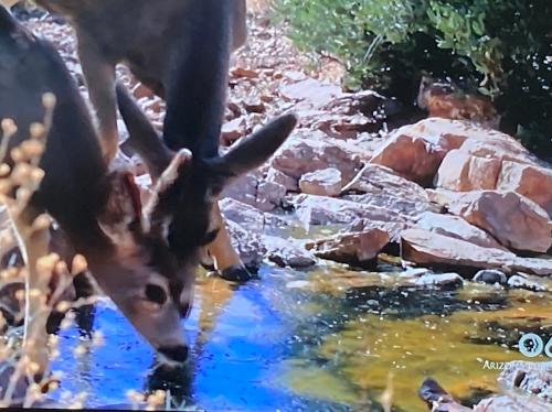 40164607-9F28-4195-8ED3-1FB0CCF8AAEA