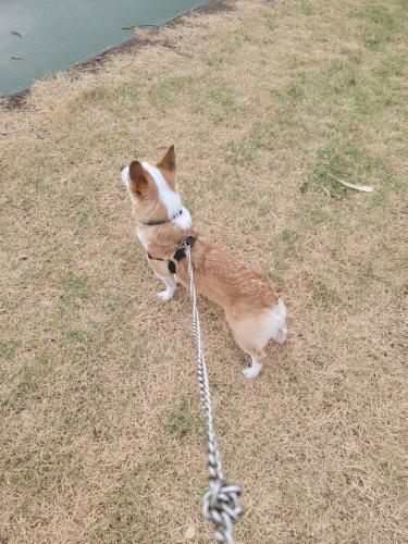 Resized_20220727_074234