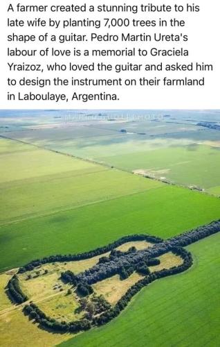 299766234_1940277219497562_1982135193249241991_n