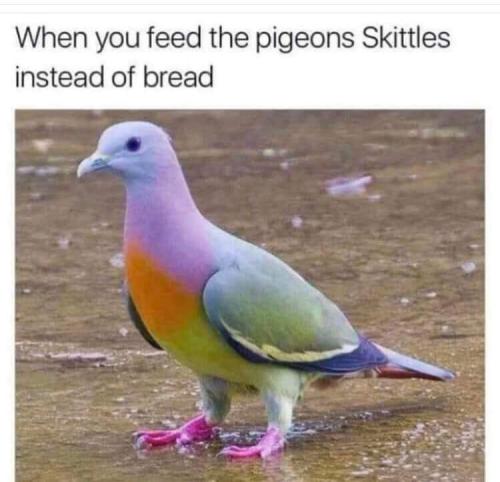 FB_IMG_1660976770468