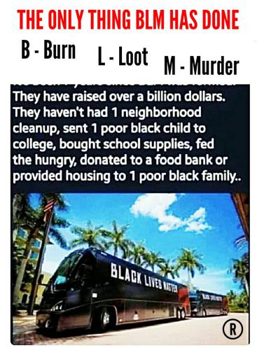 Who And What BLM Really Is: