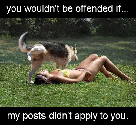 you wouldnt be offended if my posts didnt apply to you