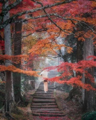 298329094_600558161723407_8072882025369458349_n