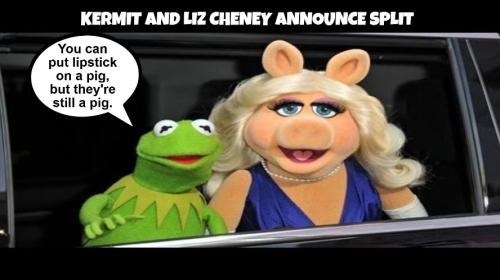 Kermit and Liz Cheney announce split 888px