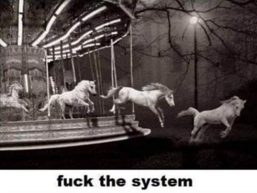 fuck the system