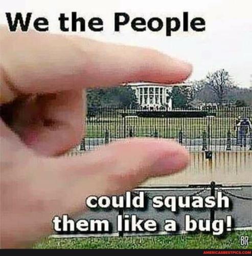 a5ca917fe05dc21ddd75a4c04e2c0f92da3e338ffb3c405350e9a8bfbe528462_1