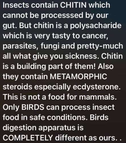 FB_IMG_1659446417429