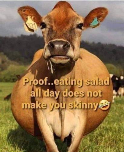 FB_IMG_1660754823792