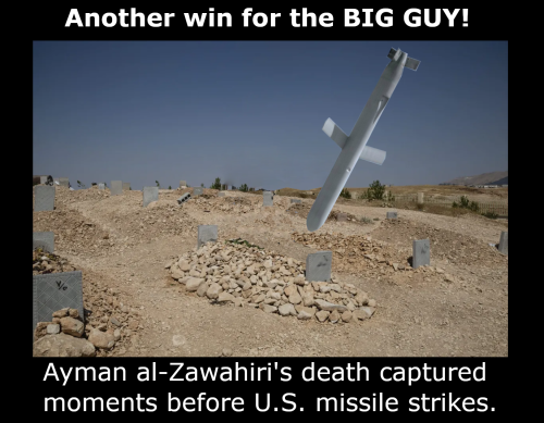 Ayman al-Zawahiri's death