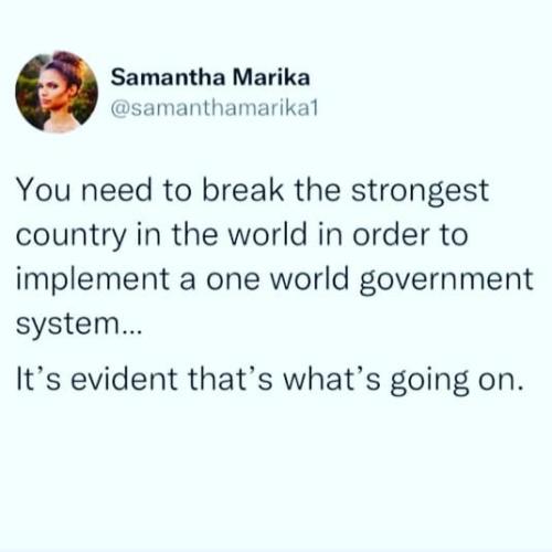 One world Gov 1