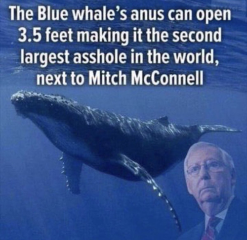 5ad75c0a-4d3f-4f05-a089-4d1cfc995c09