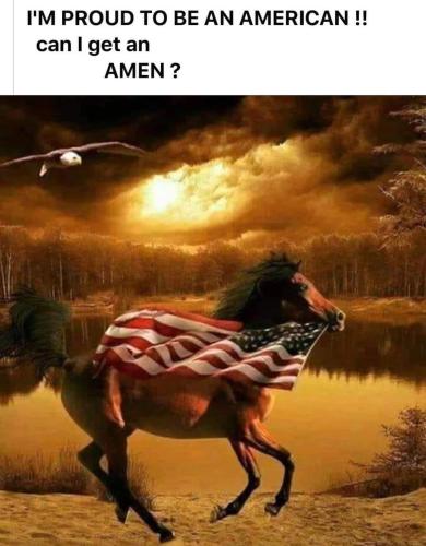 FB_IMG_1659082105618