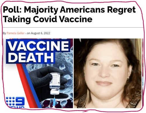 snapshot_gellerreport.com_1659967124716