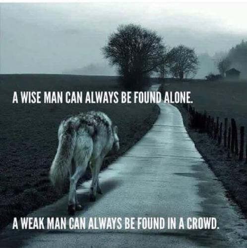 300369420_578713020627684_3292964007393452679_n