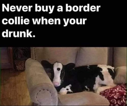 FB_IMG_1661956308888
