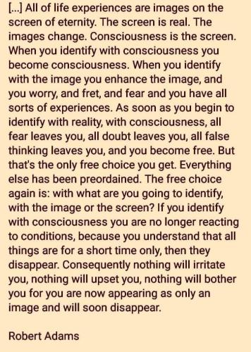 ,                                                                                                                                                                                                                          0 p