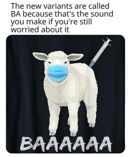 295640058_3123730504624025_1692462699289793052_n