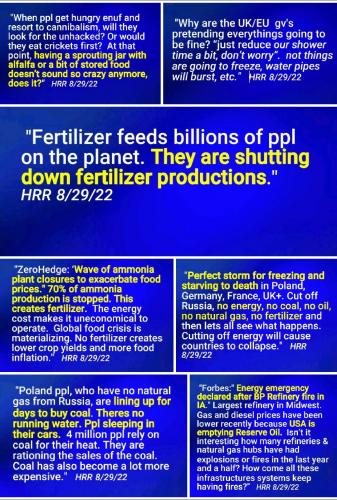 Screenshot_2022-08-30-13-18-42-244_com.google.android.apps.photos