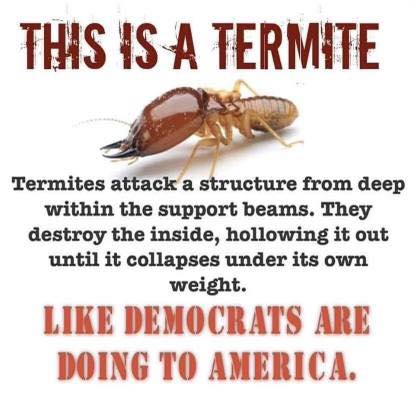 termite f