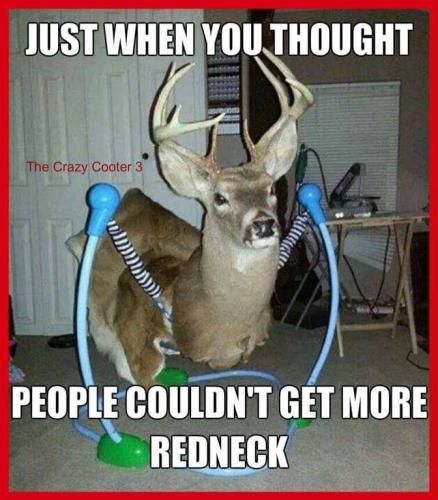 FB_IMG_1660741457956