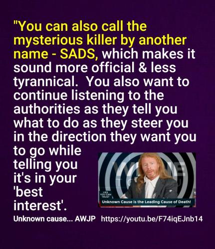 Screenshot_2022-08-22-15-57-46-480_cn.wps.moffice_eng~2