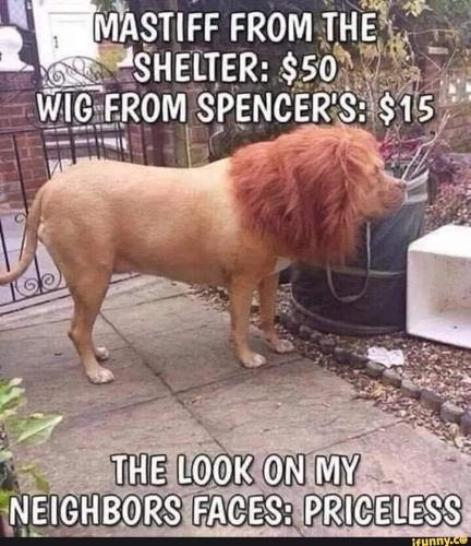 FB_IMG_1661445219376