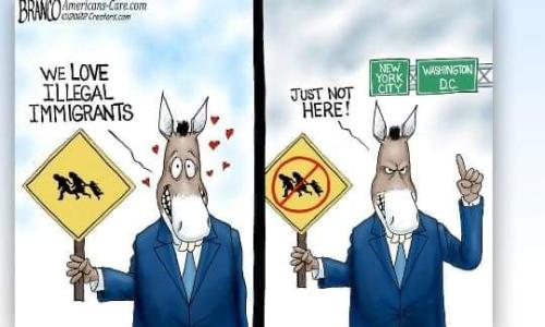 received_1503075576807562~2