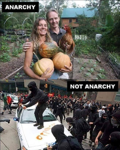 Anarchy 1