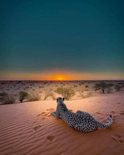 tumblr_a49c6abb0dd0f23098869037cf8e601f_005a7737_540