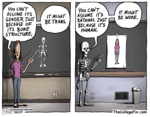 299864227_1131684891060922_3443168728704623765_n