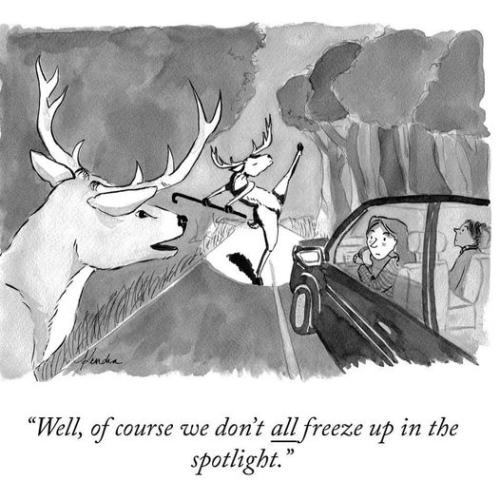 297462457_10225109637521461_2200342397117278647_n