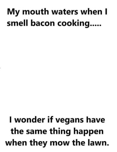 FB_IMG_1660664549799