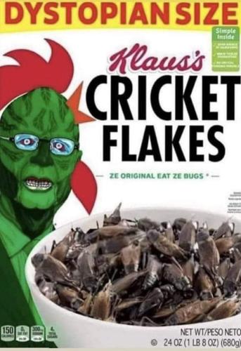 FB_IMG_1661121536728