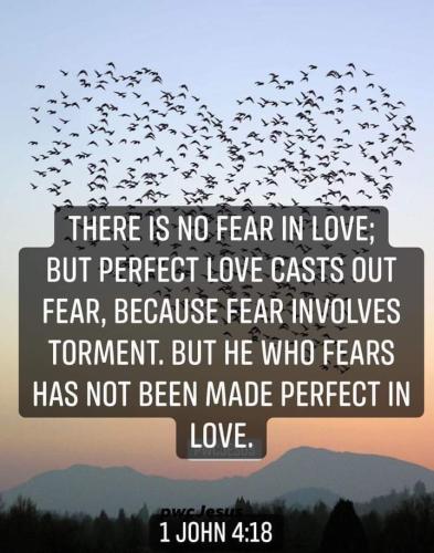 FB_IMG_1661271092185