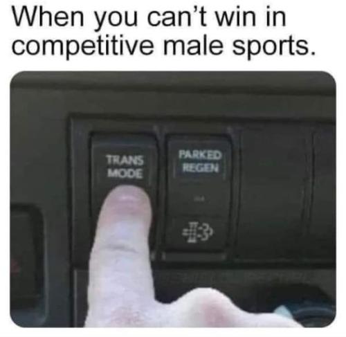 297230220_565039471995039_5283494243826322081_n