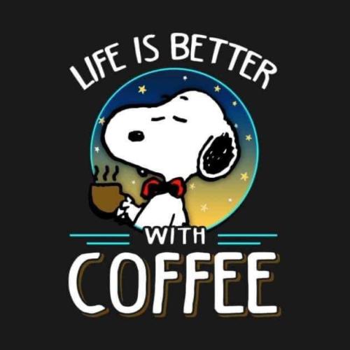 FB_IMG_1660787649856