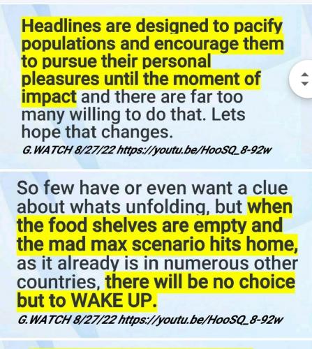 Screenshot_2022-08-30-13-56-22-198_com.google.android.apps.photos