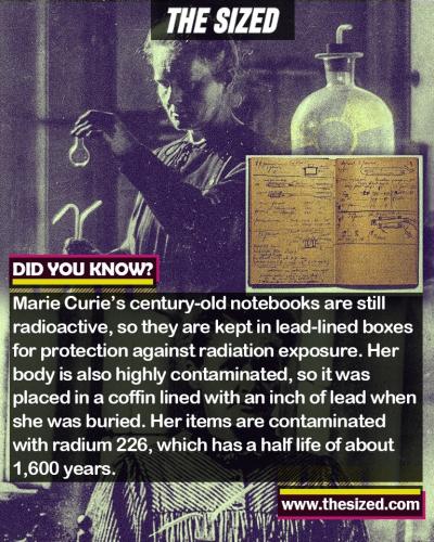 299424165_594457528787235_8021031766139967935_n