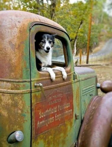 tumblr_8a2f29165c19bdd625e871f466495432_88840237_540